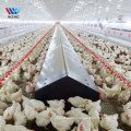 Prefab custom poultry farm steel structure house 10000 pcs chicken broiler house steel metal sheds for poultry farm for sale